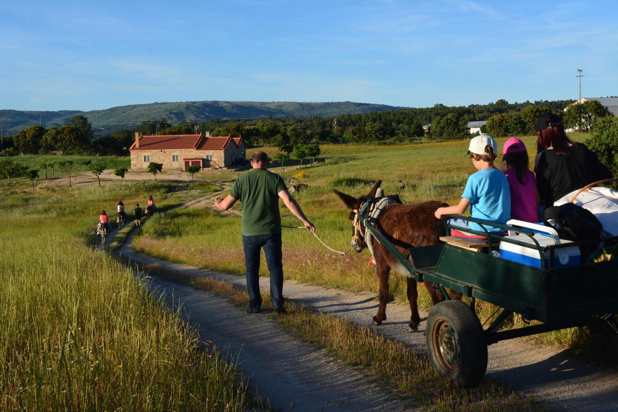 Turismo Rural 4Quintas Minhocal ภายนอก รูปภาพ